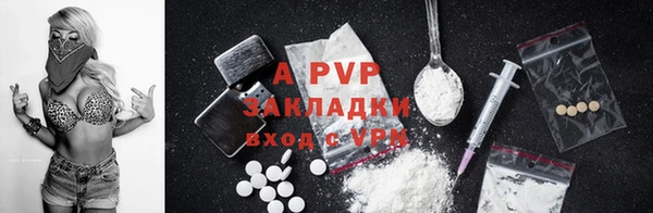 стафф Абинск