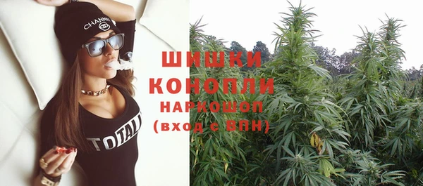 шишки Наволоки