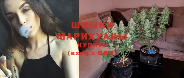мет Бердск